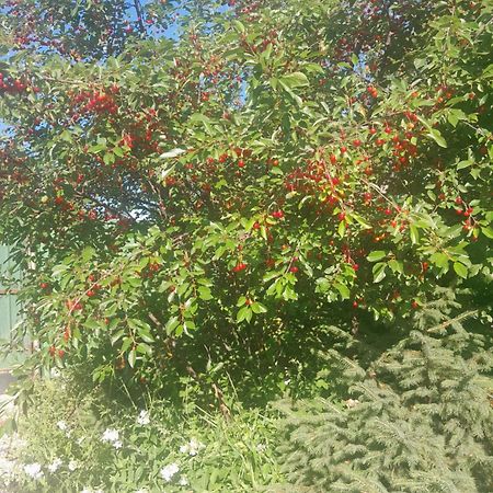 Waterfall In The Yard Karakol Bagian luar foto