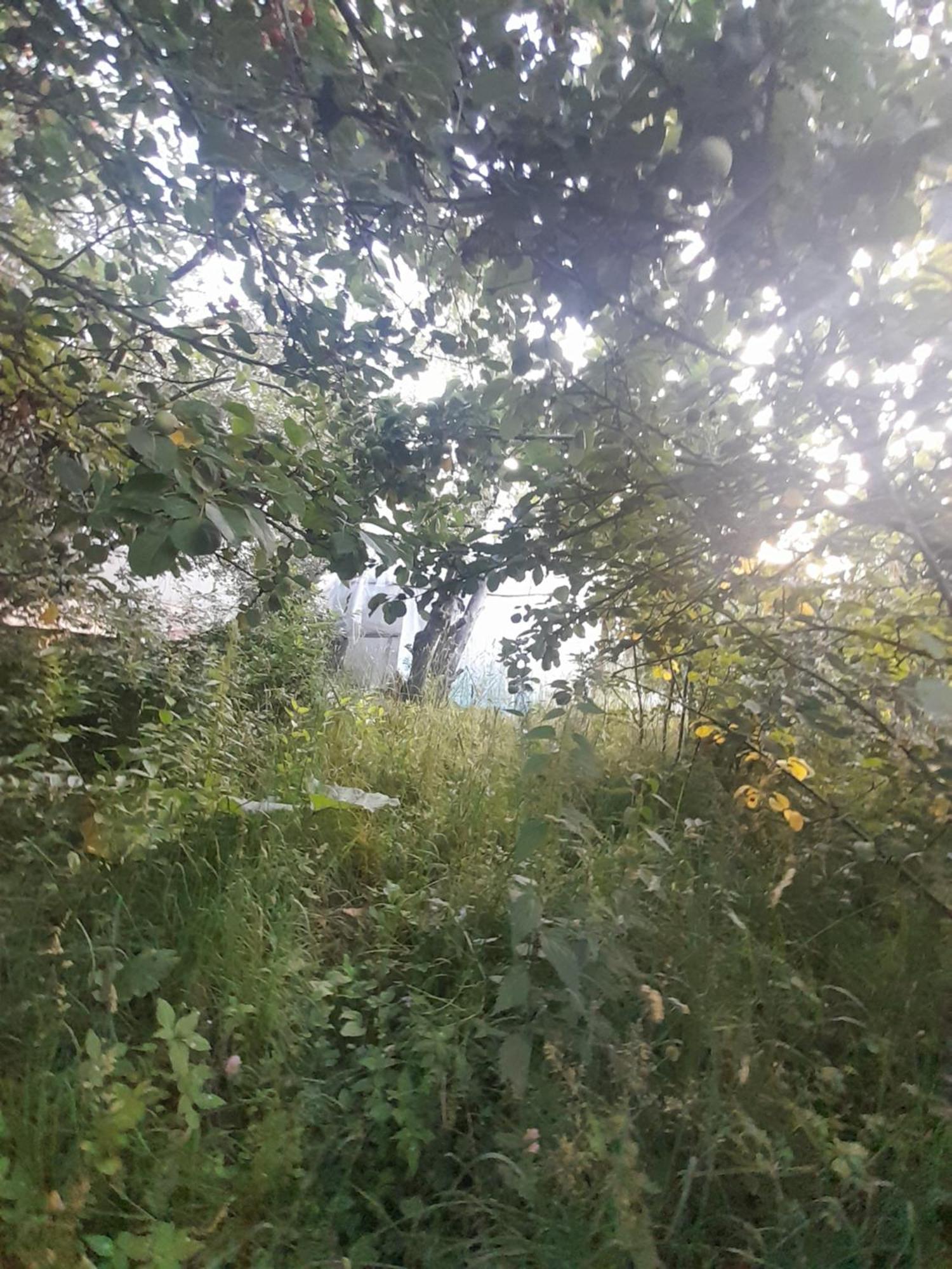 Waterfall In The Yard Karakol Bagian luar foto